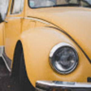 Meet your Posher, Lavon